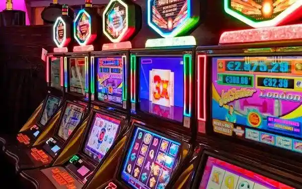 tigerplay88 bet